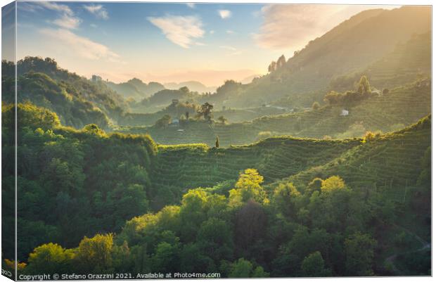 Prosecco Hills hogback, vineyards at sunset. Unesco Site. Veneto Canvas Print by Stefano Orazzini