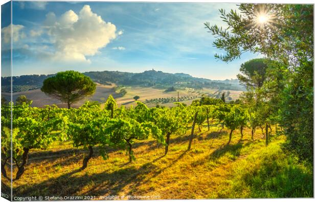 Casale Marittimo vineyards and village, landscape in Maremma. Canvas Print by Stefano Orazzini