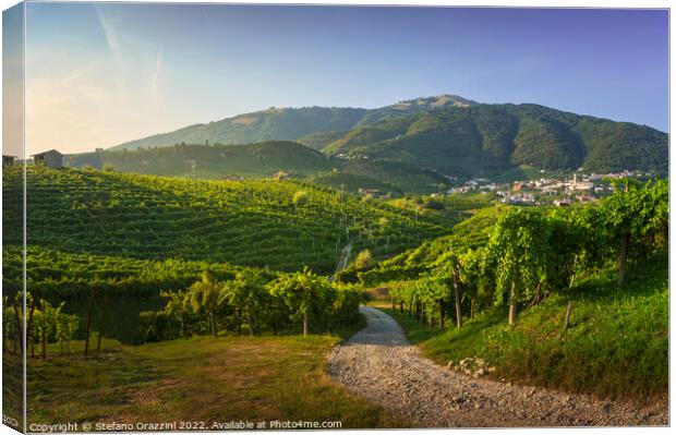 Vineyards and road. Prosecco Hills, Unesco Site. Valdobbiadene,  Canvas Print by Stefano Orazzini
