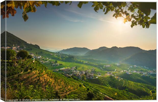 Prosecco Hills, vineyards panorama in the morning. Unesco Site.  Canvas Print by Stefano Orazzini