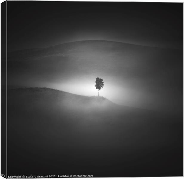 Alone in the Fog Canvas Print by Stefano Orazzini