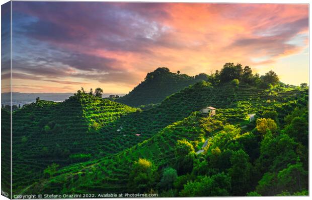 Prosecco Hills, vineyards and steep hills. Unesco Site. Canvas Print by Stefano Orazzini