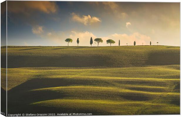 Rolling hills, cypress and pine trees. Tuscany, Italy Canvas Print by Stefano Orazzini
