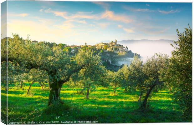 Trevi picturesque village and olive trees in a foggy morning. Canvas Print by Stefano Orazzini