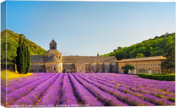 Abbey of Senanque and lavender flowers. Gordes, France Canvas Print by Stefano Orazzini