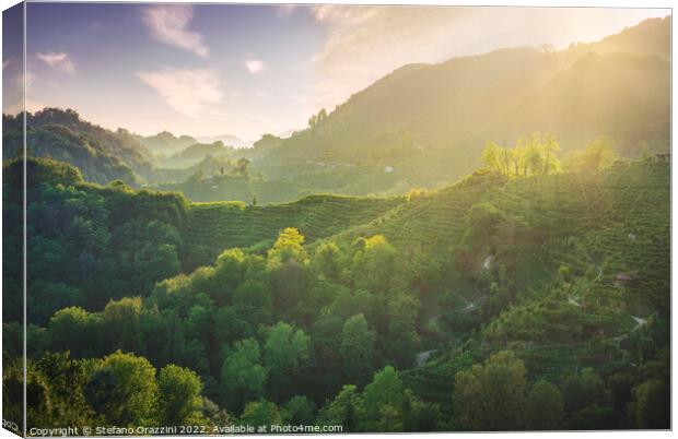 Prosecco Hills hogback, vineyards at sunset. Veneto, Italy Canvas Print by Stefano Orazzini