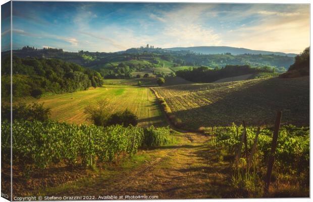 Panoramic view of chianti and vernaccia vineyards. San Gimignano Canvas Print by Stefano Orazzini