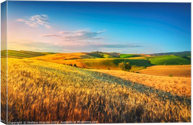 Tuscany countryside panorama, rolling hills and wheat fields Canvas Print by Stefano Orazzini