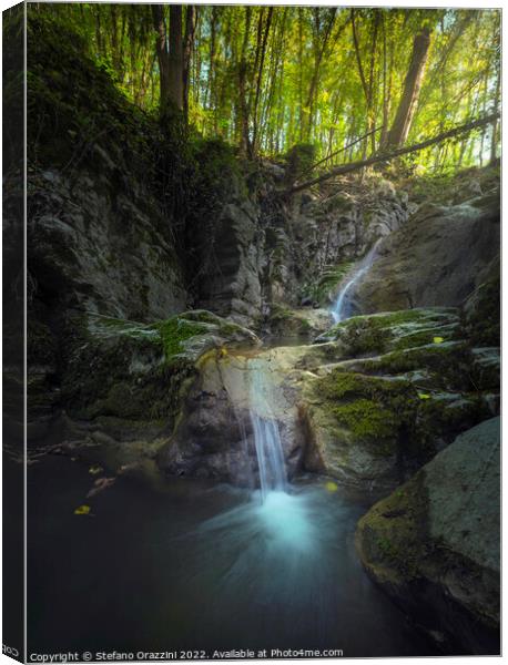 Stream waterfall inside a forest. Chianni, Tuscany Canvas Print by Stefano Orazzini