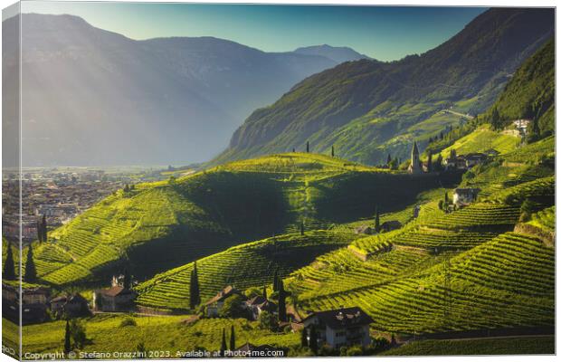 Vineyards view in Santa Maddalena, Bolzano. South Tyrol Canvas Print by Stefano Orazzini