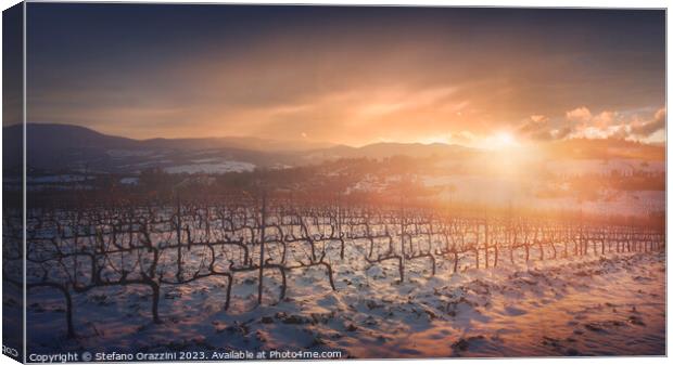 Snow in the vineyards of Chianti at sunset near Siena, Italy Canvas Print by Stefano Orazzini