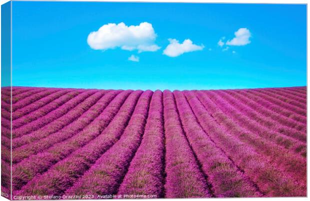 Lavender flower field and some clouds. Canvas Print by Stefano Orazzini
