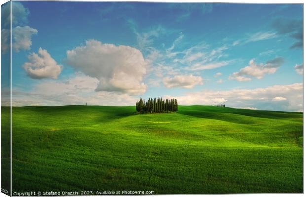The Cipressini. Cypress Groove in Val d'Orcia. Tuscany, Italy Canvas Print by Stefano Orazzini