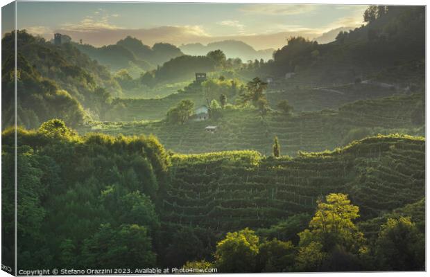 Prosecco Hills hogback. Vineyards at sunset. Veneto, Italy Canvas Print by Stefano Orazzini