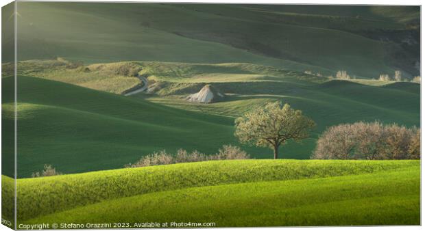 Spring in Tuscany, rolling hills and trees. Pienza, Italy Canvas Print by Stefano Orazzini