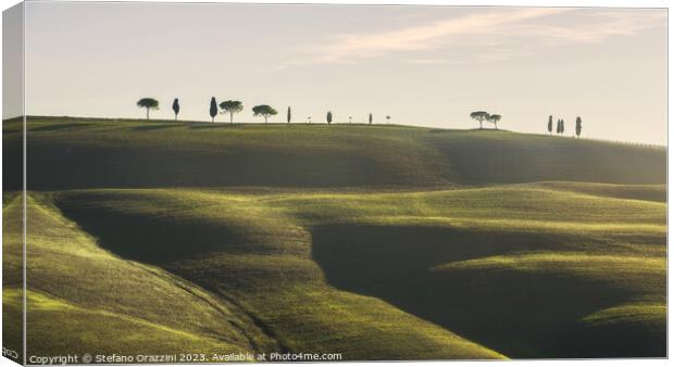 Rolling hills, cypress and pine trees. Tuscany, Italy Canvas Print by Stefano Orazzini