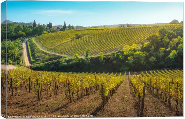 Montalcino vineyards in autumn. Tuscany region, Italy Canvas Print by Stefano Orazzini
