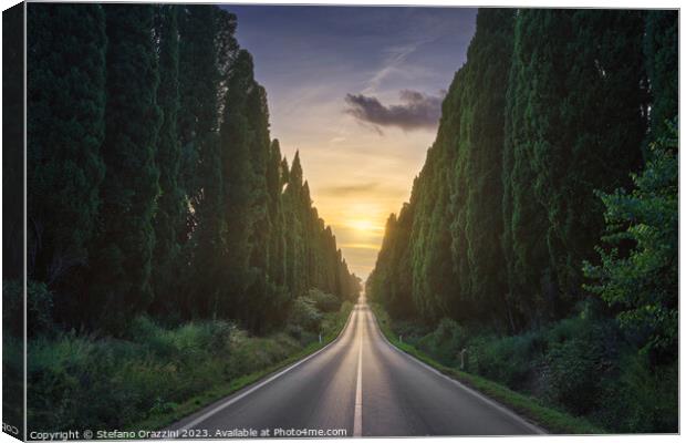 The cypress avenue of Bolgheri and the sun in the middle Canvas Print by Stefano Orazzini