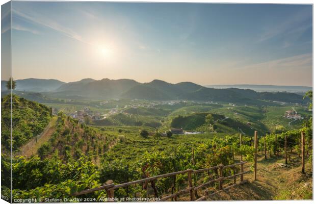 Prosecco Hills, vineyards panorama in the morning. Italy Canvas Print by Stefano Orazzini