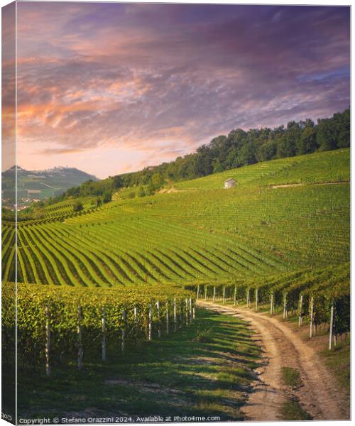 Langhe vineyards view, rural road, Barolo, Italy Canvas Print by Stefano Orazzini