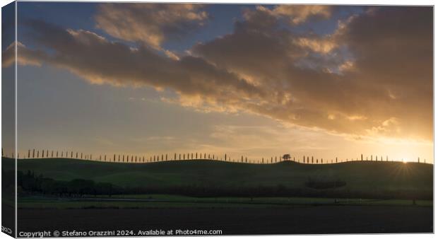 Cypress trees on the edge of the hill. Tuscany, Italy Canvas Print by Stefano Orazzini