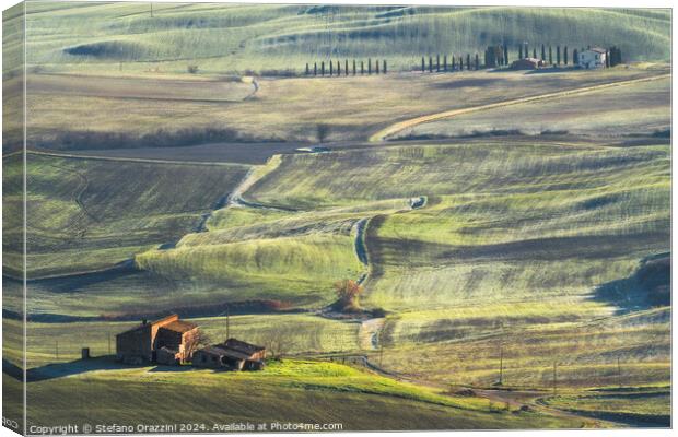 Farmhouses in the Val d'Orcia Canvas Print by Stefano Orazzini