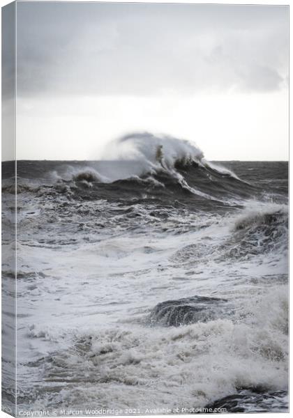 Winter Swell Canvas Print by Marcus Woodbridge