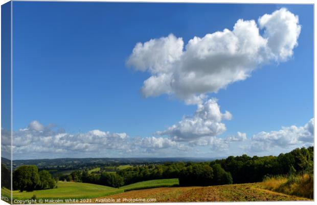 Tranquility. Canvas Print by Malcolm White