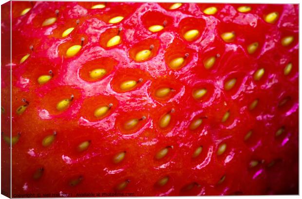 Strawberry Canvas Print by Neil Hall
