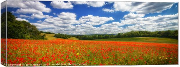 Poppy Panorama in the Garden of England - Kent UK. Canvas Print by John Gilham