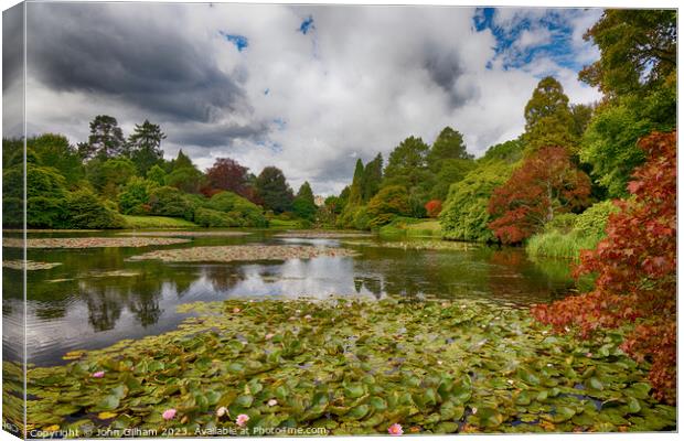 Lily pads and flowers on the lake in East Sussex England UK Canvas Print by John Gilham