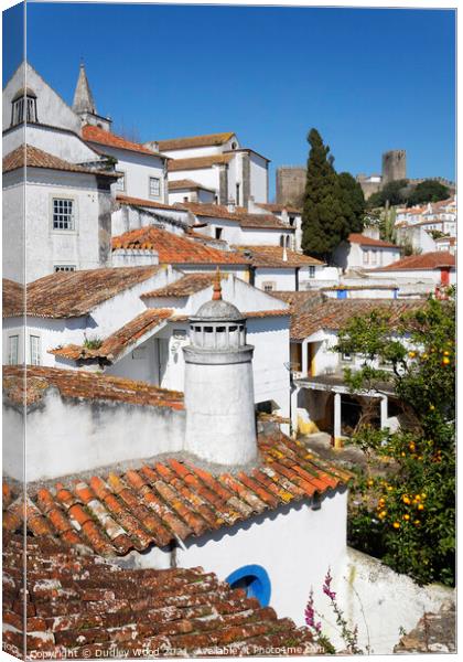 Charming Obidos Town Canvas Print by Dudley Wood