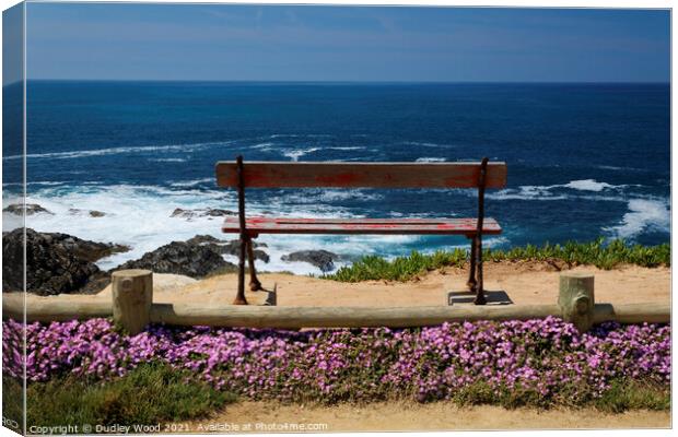 Bench with sea view Canvas Print by Dudley Wood