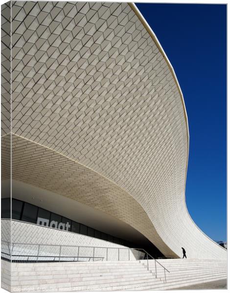 The Majestic Curved Architecture Canvas Print by Dudley Wood