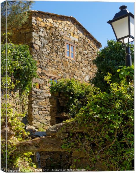 Overgrown stone and slate house Canvas Print by Dudley Wood