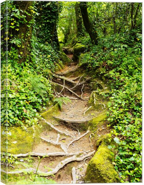 Enchanted Forest Trail Canvas Print by Dudley Wood