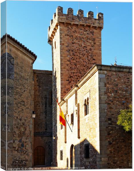Majestic Castle in Historic Spain Canvas Print by Dudley Wood