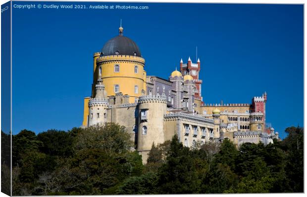 Majestic Pena Palace Canvas Print by Dudley Wood