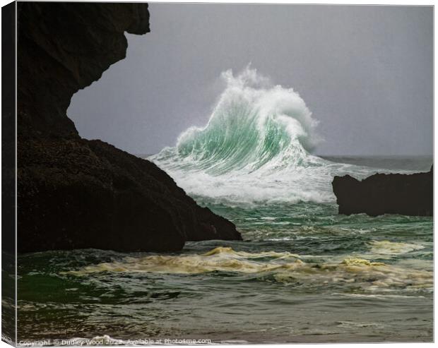 Majestic Force Canvas Print by Dudley Wood