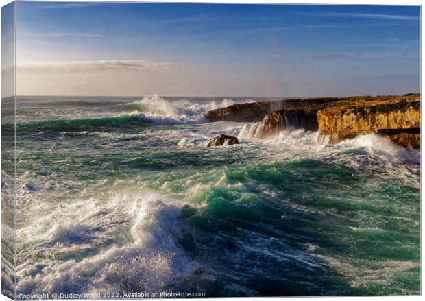 Majestic Jurassic Seascape Canvas Print by Dudley Wood