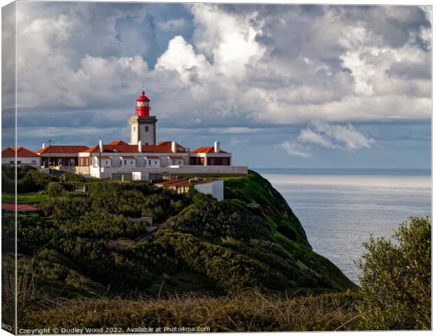 The Wild Beauty of Cabo da Roca Canvas Print by Dudley Wood