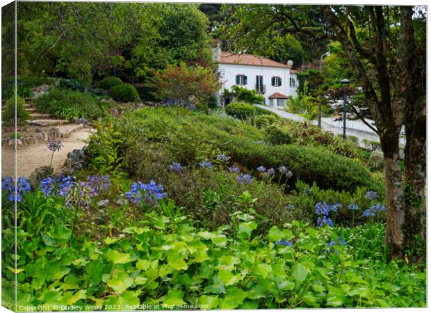 Secluded  house Sintra Canvas Print by Dudley Wood