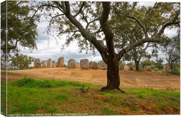 Stone monoliths Canvas Print by Dudley Wood