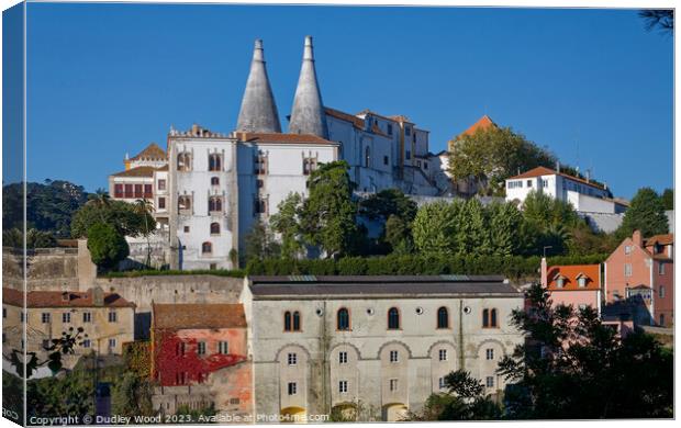 Sintra Palace 1 Canvas Print by Dudley Wood