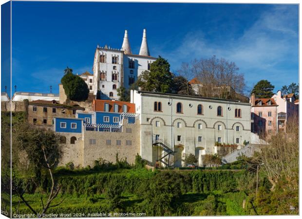 Sintra Palace 1 Canvas Print by Dudley Wood