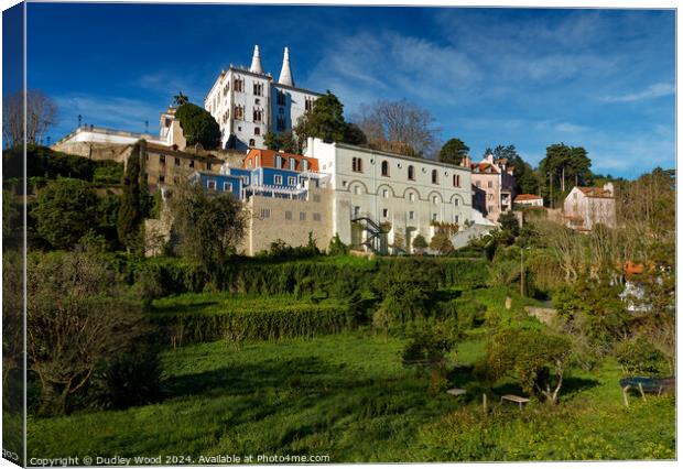 Sintra Palace 2 Canvas Print by Dudley Wood