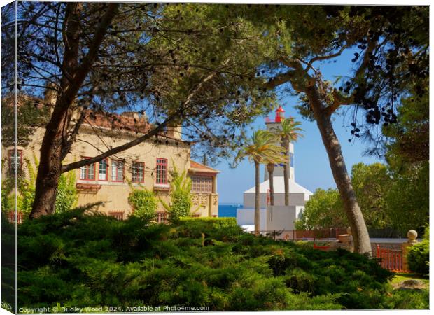 Santa Maria gardens Canvas Print by Dudley Wood