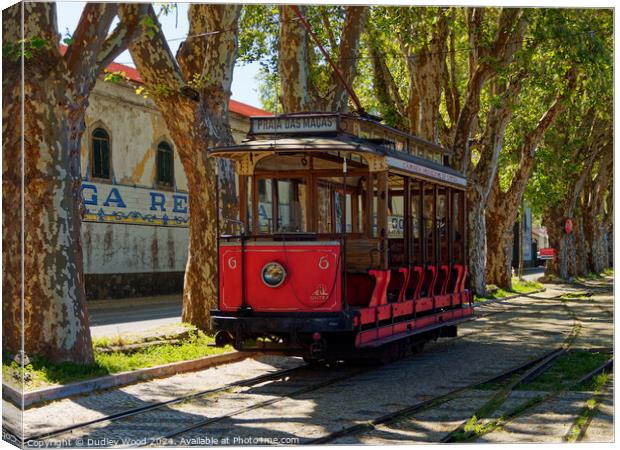 Red tram 1 Canvas Print by Dudley Wood