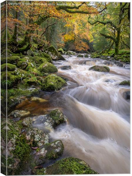 Autumn on the River Plym, Dewerstone woods. Dartmoor.Uk Canvas Print by Simon Nicholson