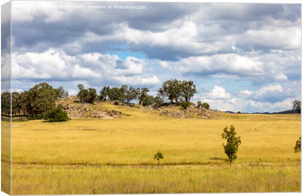 Australian landscape autumn Canvas Print by martin berry